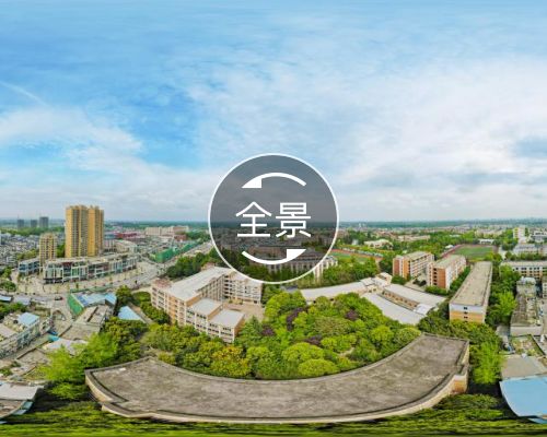 全景