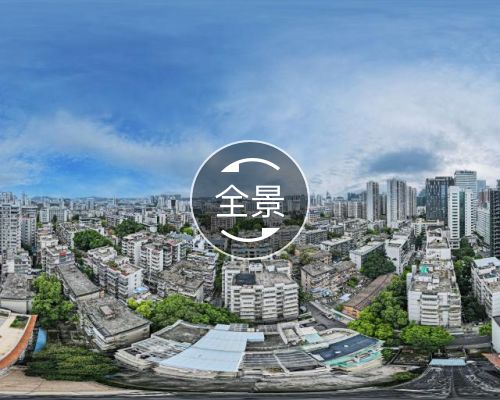 全景